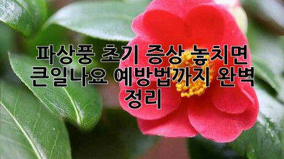 🚨 파상풍 초기 증상🚨 놓치면 큰일나요! 예방법까지 완벽 정리!
